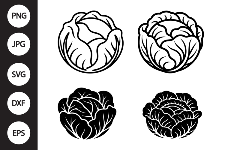 Cabbage SVG, Cabbage Clipart