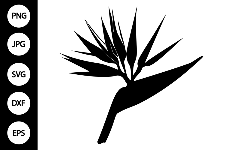 Bird Silhouettes Image 3