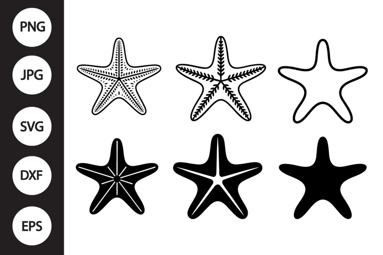 Starfish Clipart Image 6