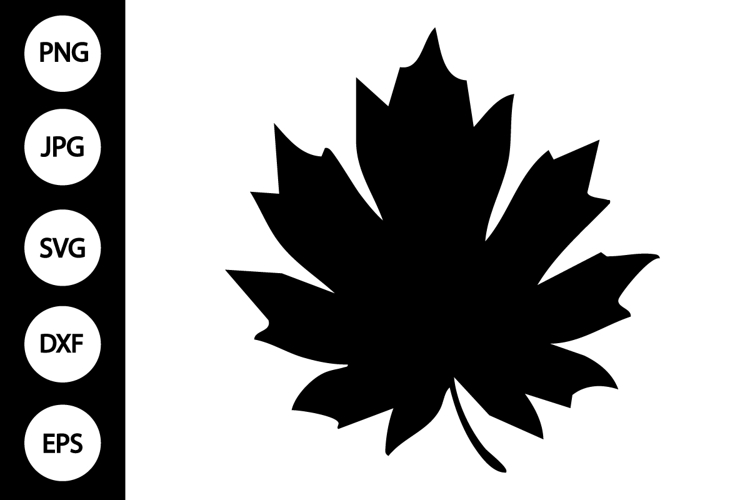Leaf Silhouette Image 14