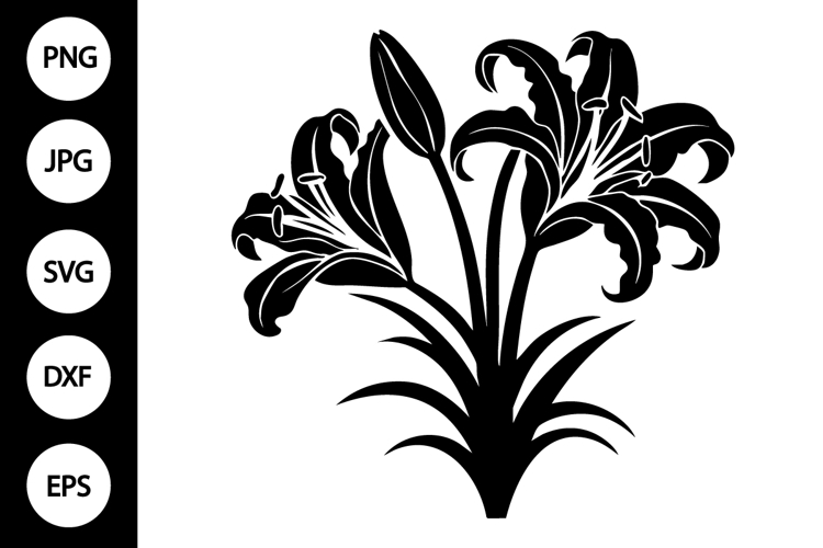 Lily Silhouette Image 11