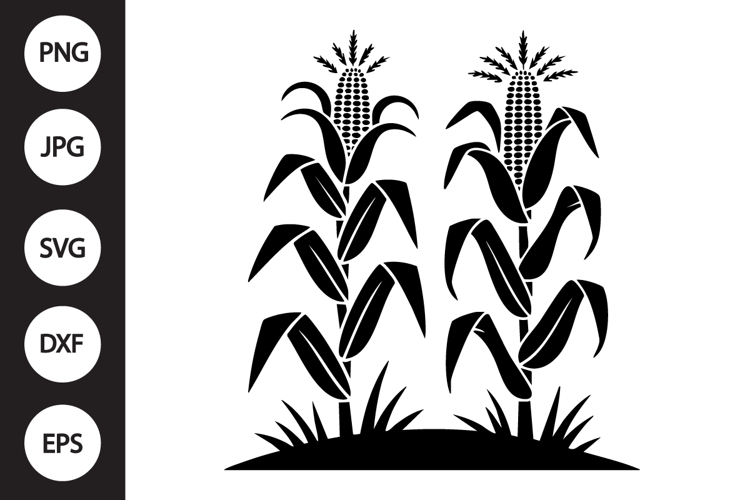 Corn Stalks SVG