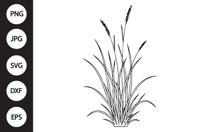 Grass Silhouette Image 4