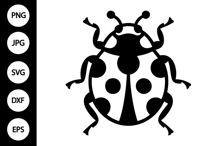 Ladybug Clipart Image 5