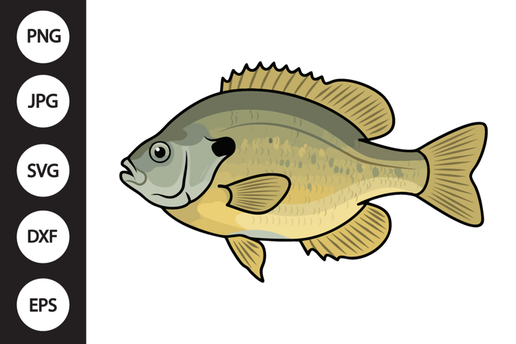 Bluegill Panfish SVG