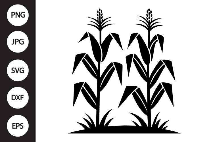 Corn Stalks SVG