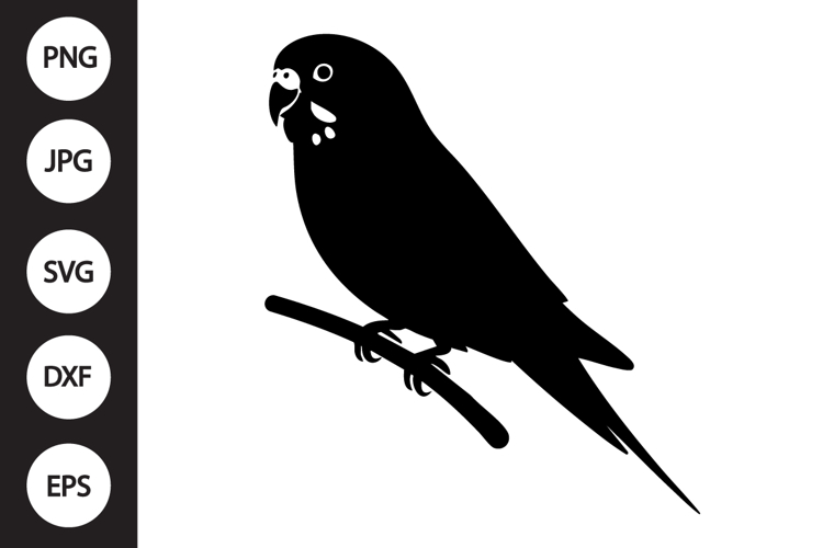 Bird Silhouettes Image 19