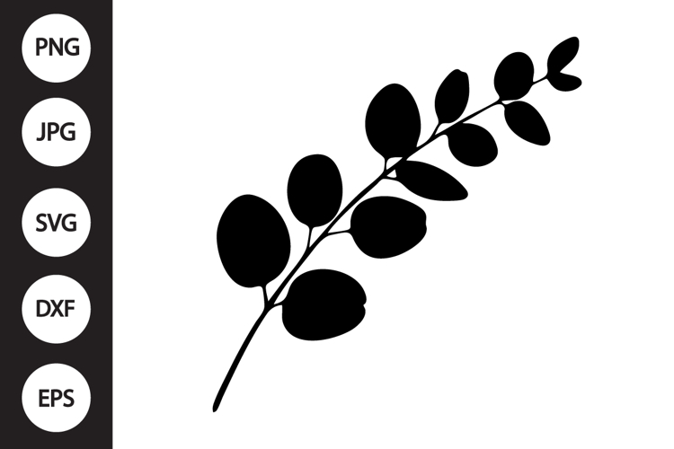 Eucalyptus Branch SVG