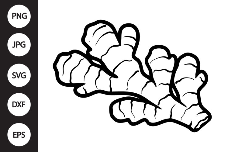 Ginger SVG example image 1