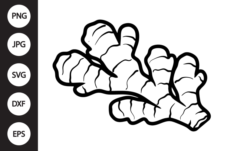 Ginger SVG