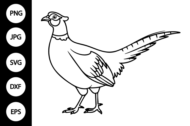 Pheasant Outline SVG, Coloring Page