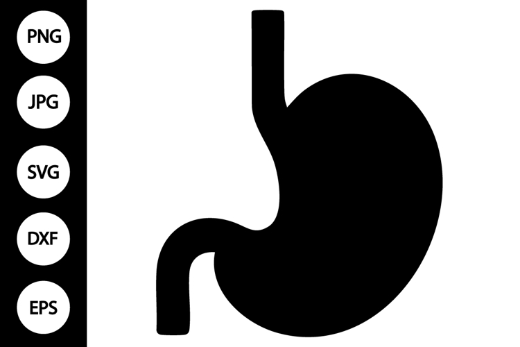 Stomach SVG