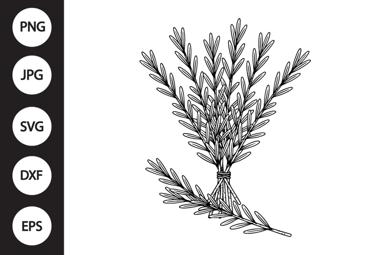 Rosemary Clipart Image 5