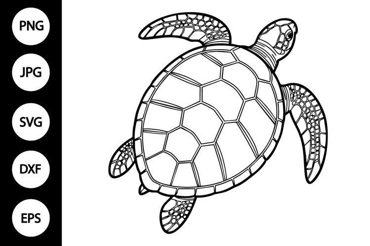 Cricut Sea Turtle SVGs Image 7