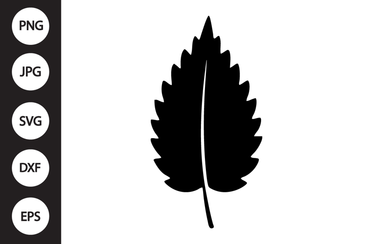 Nettle Leaf SVG example image 1