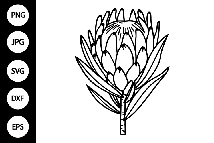 Flower Outline Clipart Image 20