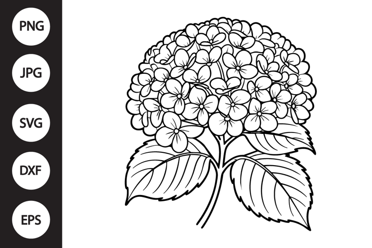 Hydrangea Clipart Image 6