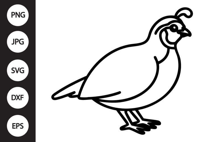 Quail Outline SVG, Coloring Page