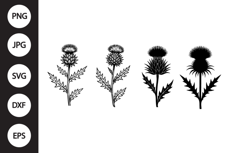 Scottish Thistle SVG, Scottish Thistle Clipart example image 1