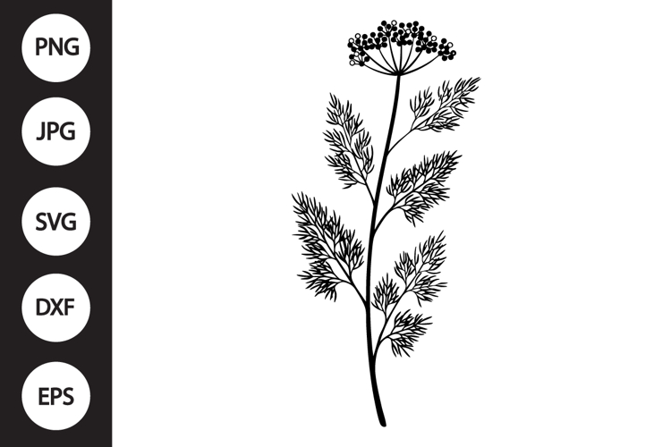 Dill Herb SVG