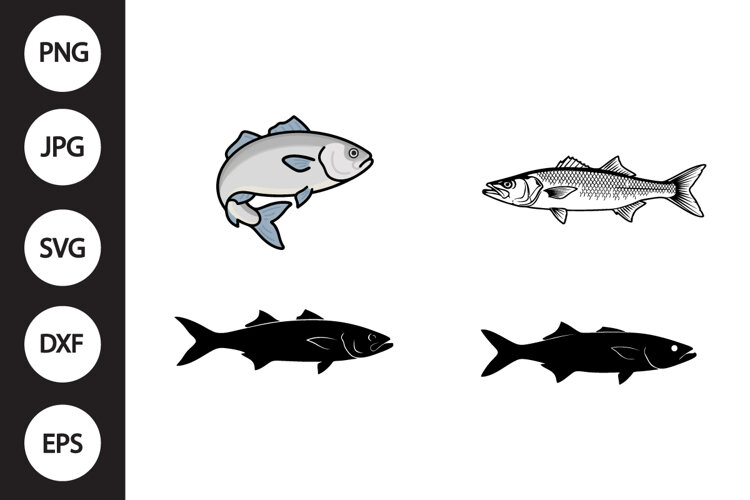 Barramundi Fish SVG, Barramundi Fish Clipart example image 1