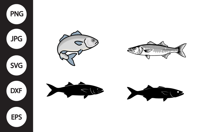 Barramundi Fish SVG, Barramundi Fish Clipart