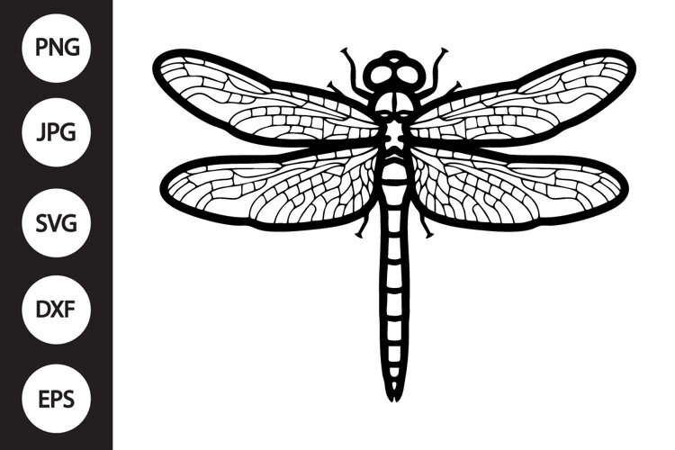 Dragonfly SVG example image 1
