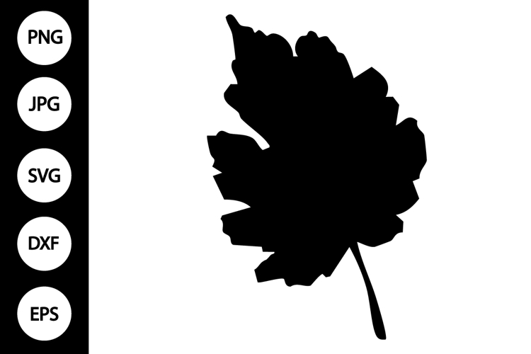 Leaf Silhouette Image 16
