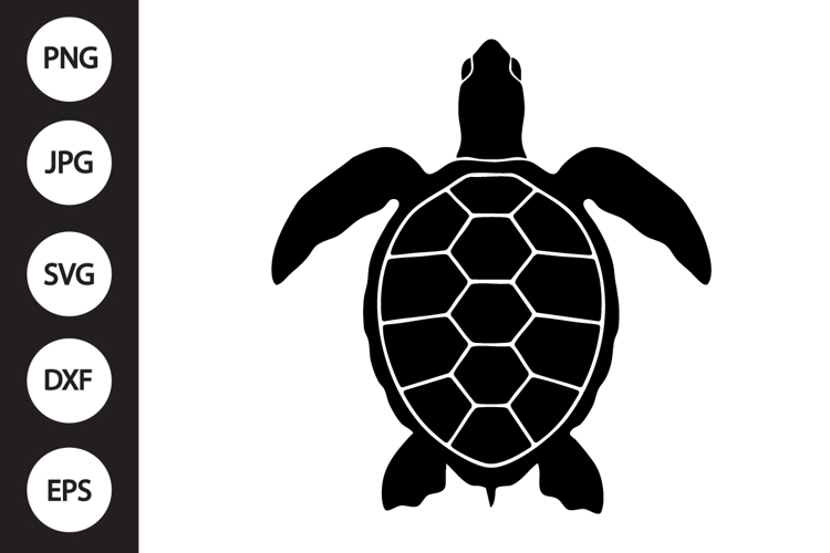 Turtle Clipart Image 15