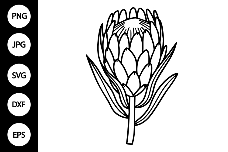 Flower Clipart Black And White Image 10