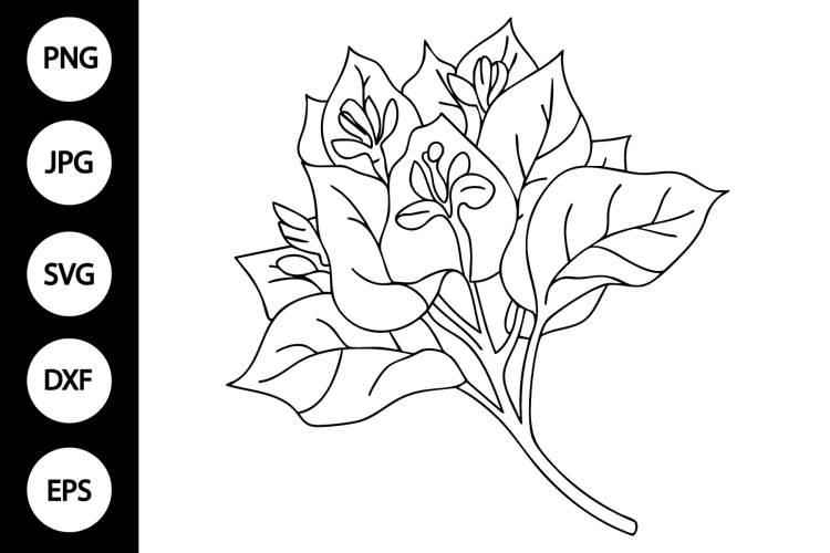 Flower Clipart Black And White Image 8