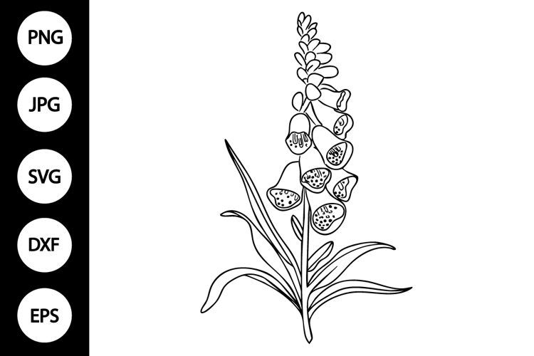Outline Foxglove Flower SVG