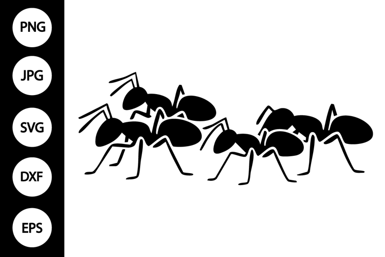 Ant Clipart Image 3
