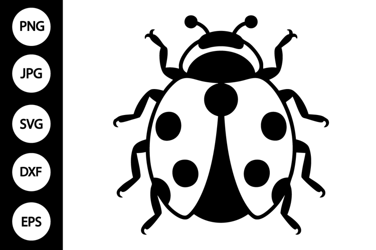 Ladybug Clipart Image 6