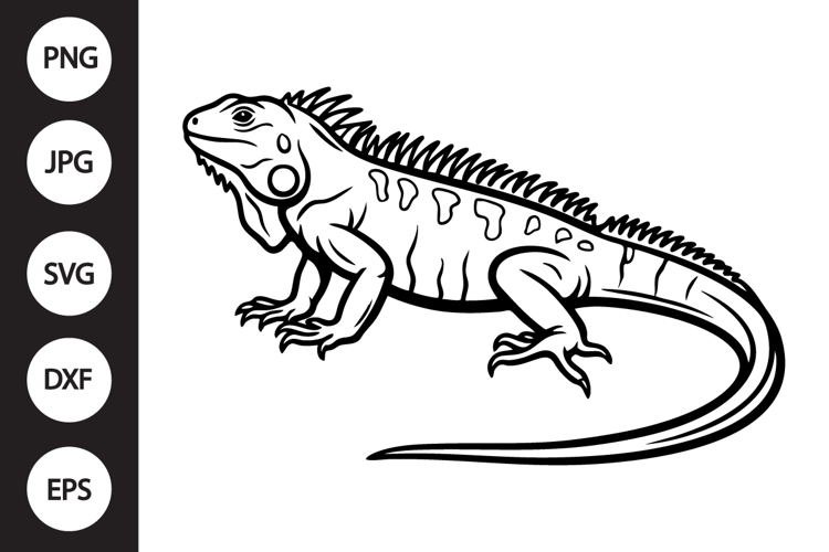 Iguana Clipart Image 5