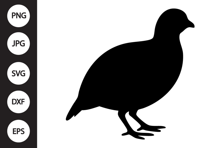 Quail Silhouette SVG