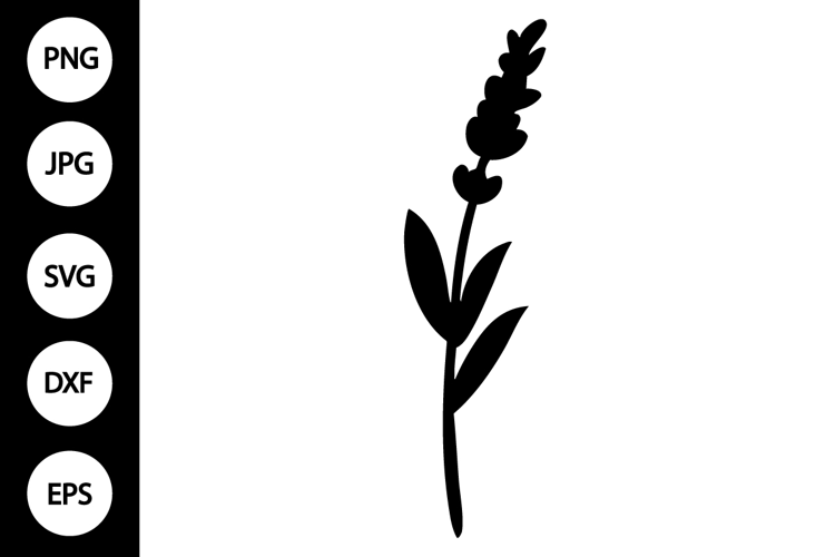 Silhouette Lavender SVG