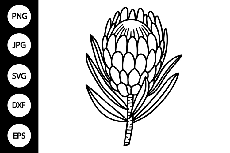 Flower Clipart Black And White Image 9