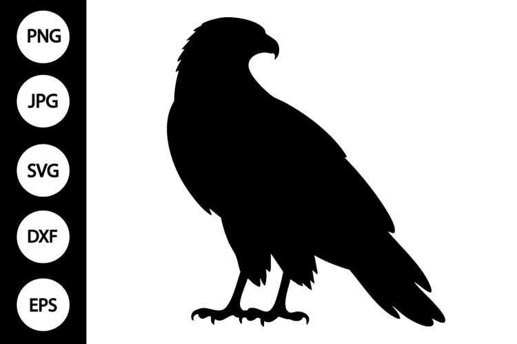 Hawk Clipart Image 21