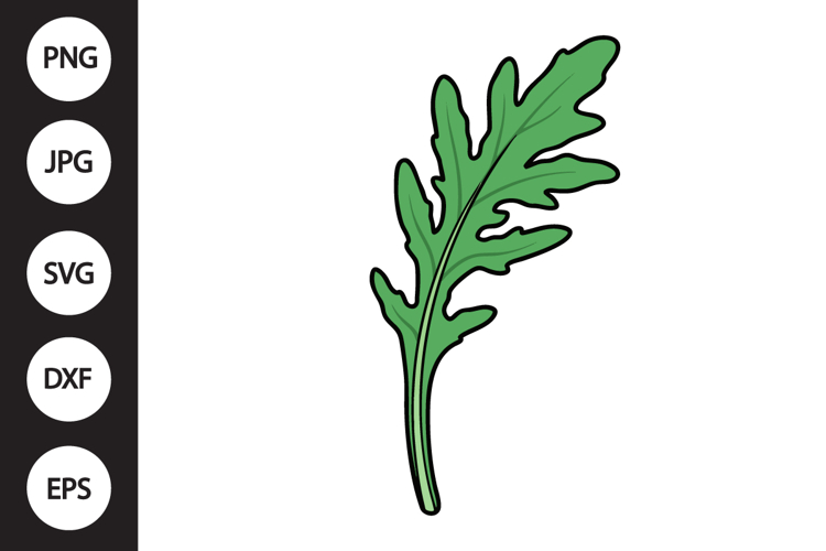 Mizuna Lettuce SVG