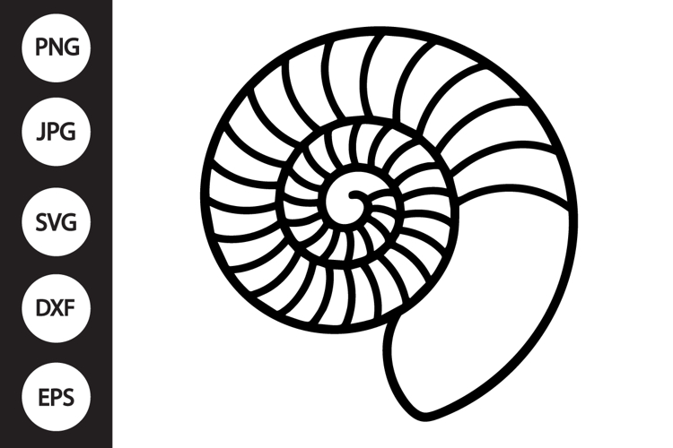 Sea Shell Clipart Image 5