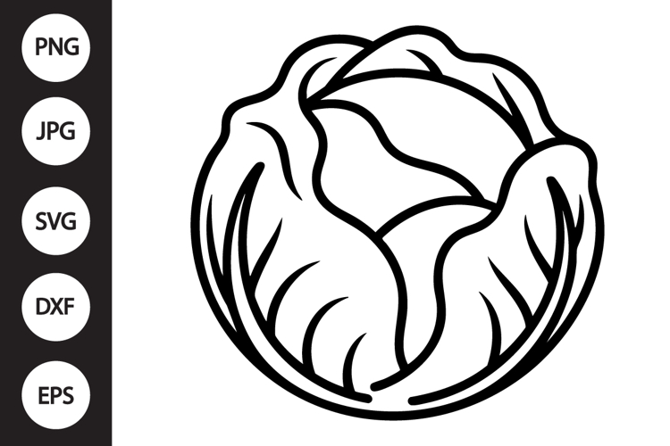 Cabbage Clipart Image 5
