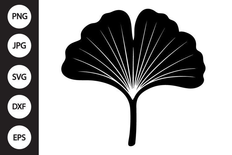 Gingko Leaf SVG example image 1