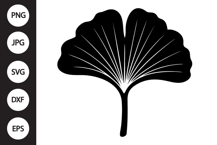 Gingko Leaf SVG