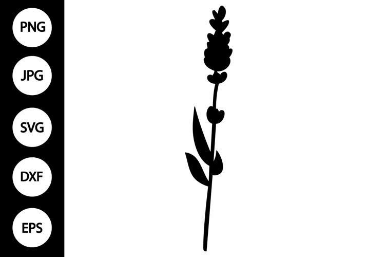 Silhouette Lavender SVG