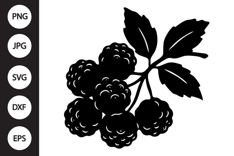 Cloudberry SVG example image 1