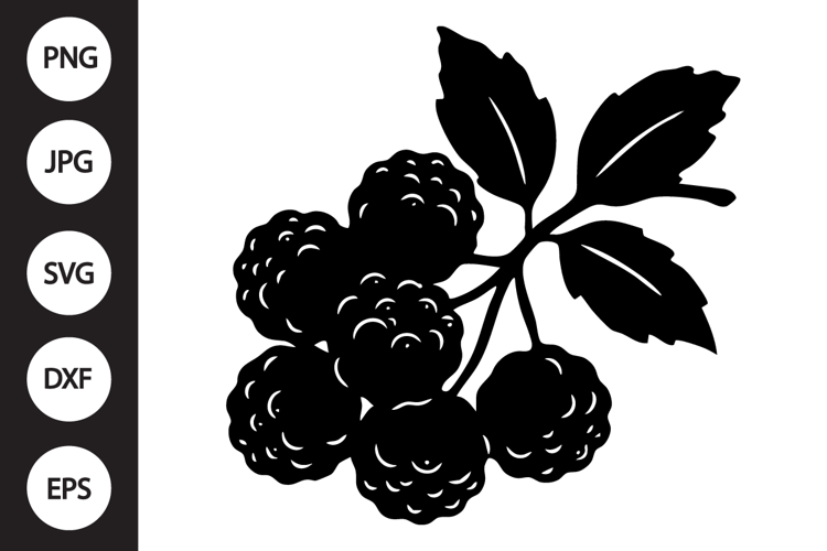 Cloudberry SVG