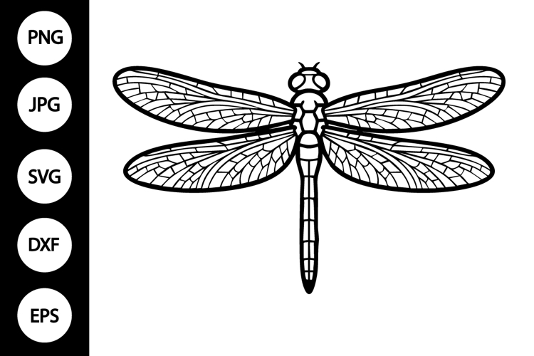 Dragonfly Outline Image 3