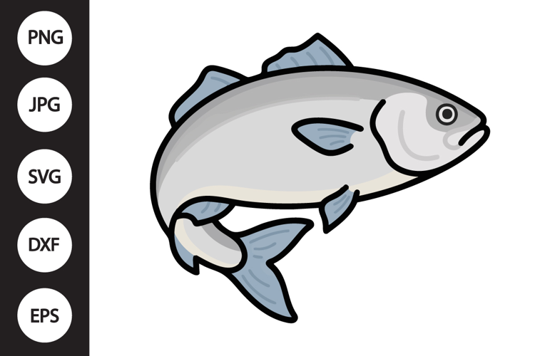 Barramundi Fish SVG
