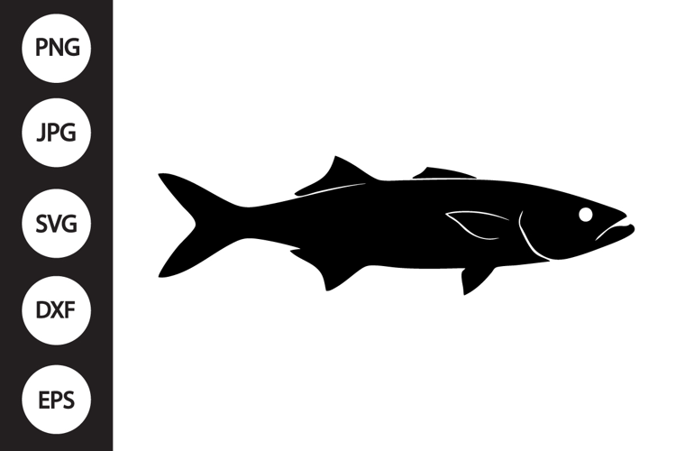 Barramundi Fish SVG